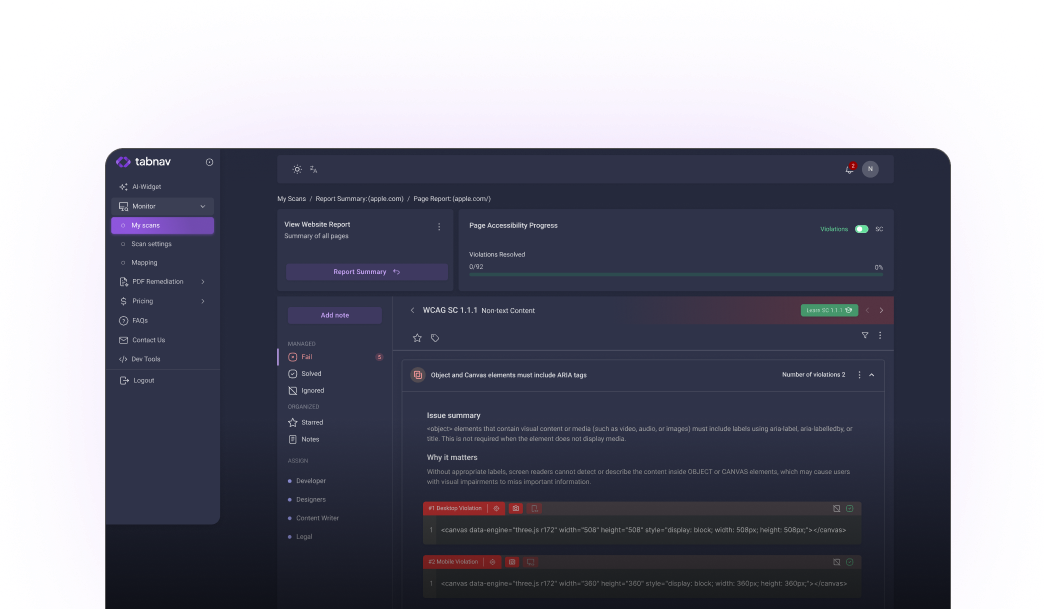 Capture d'écran du moniteur d'accessibilité Web