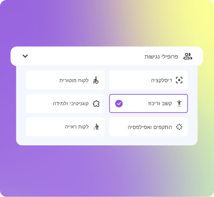 ממשק תוסף הנגישות עם אפשרויות שפה ופרופילים