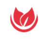 Perfect look and health logo