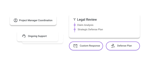 Litigation package services
