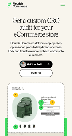 Example of a mobile website interface displayed in full view