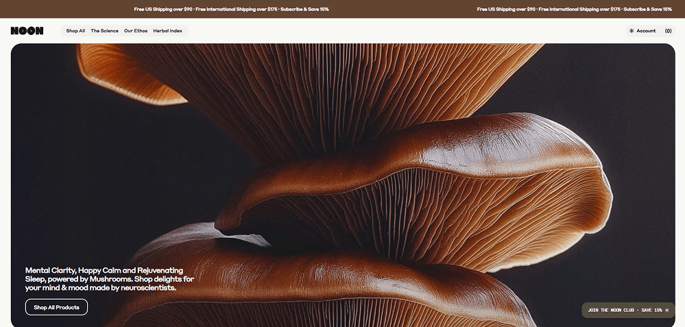 Example of a desktop website interface displayed in full view