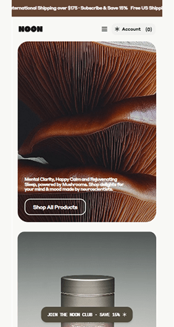 Example of a mobile website interface displayed in full view
