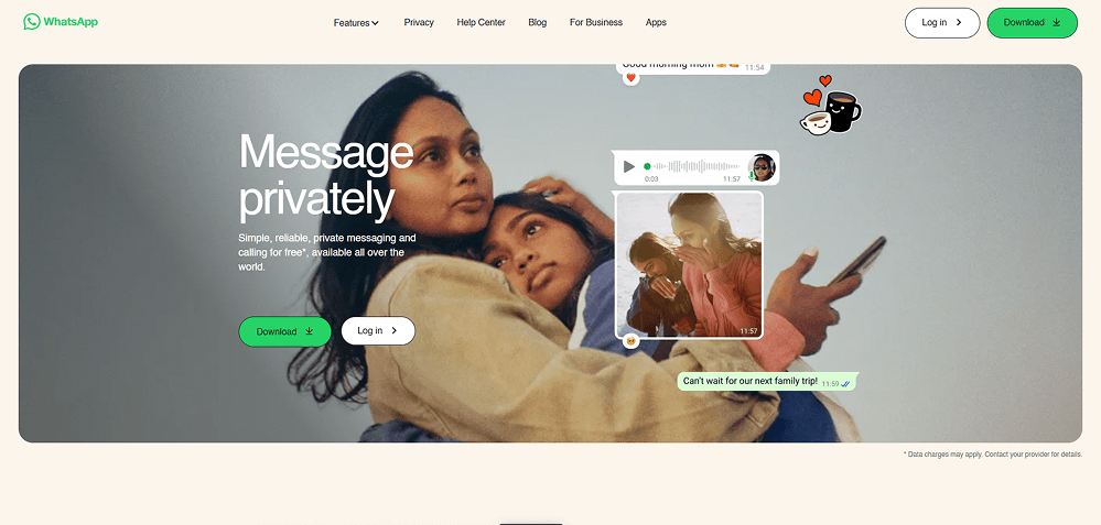 Example of a desktop website interface displayed in full view