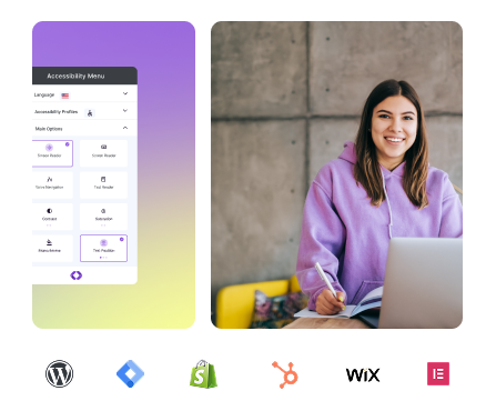 Accessibility widget interface preview