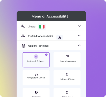 Accessibility widget interface showing language and profile options